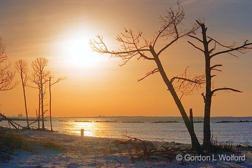 Dauphin Island Sunrise_56104.jpg - Hurricane Victims Photographed on Dauphin Island, Alabama USA.